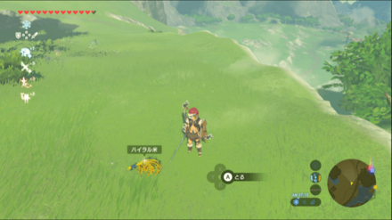 ハイラル米の入手場所