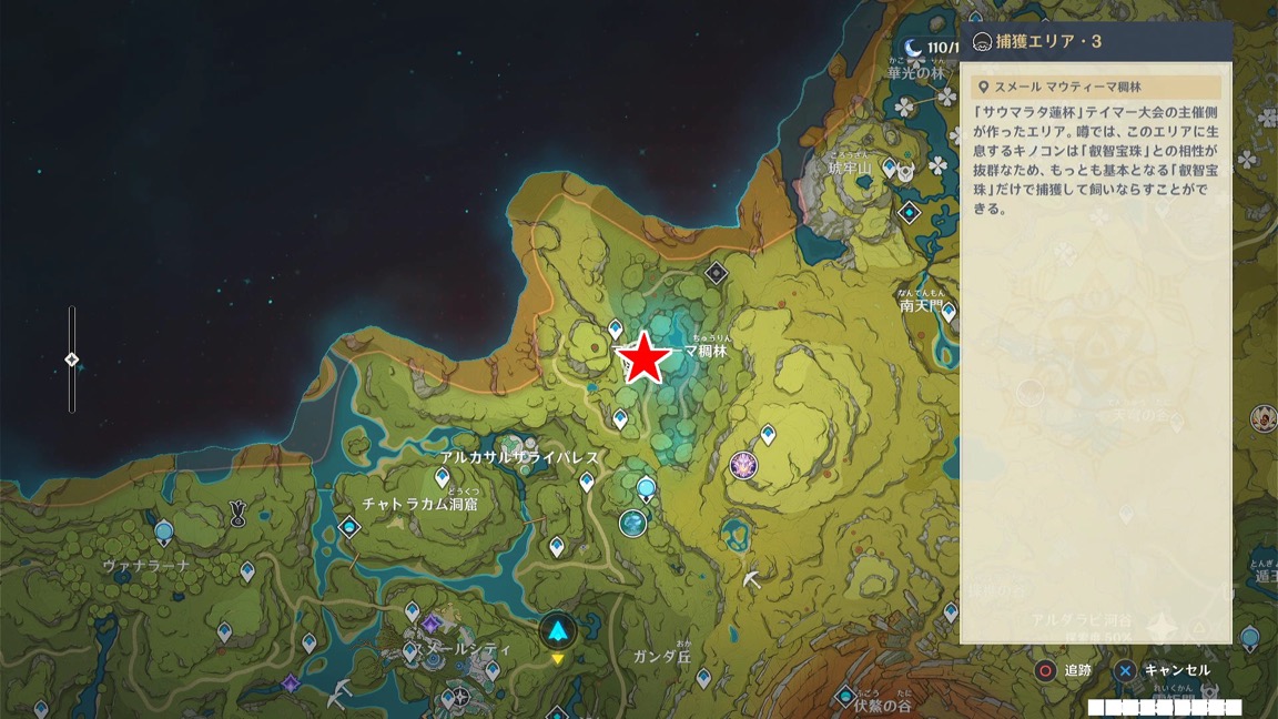 マウティーマ林