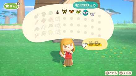 虫はYボタンで放したりしまったりできる