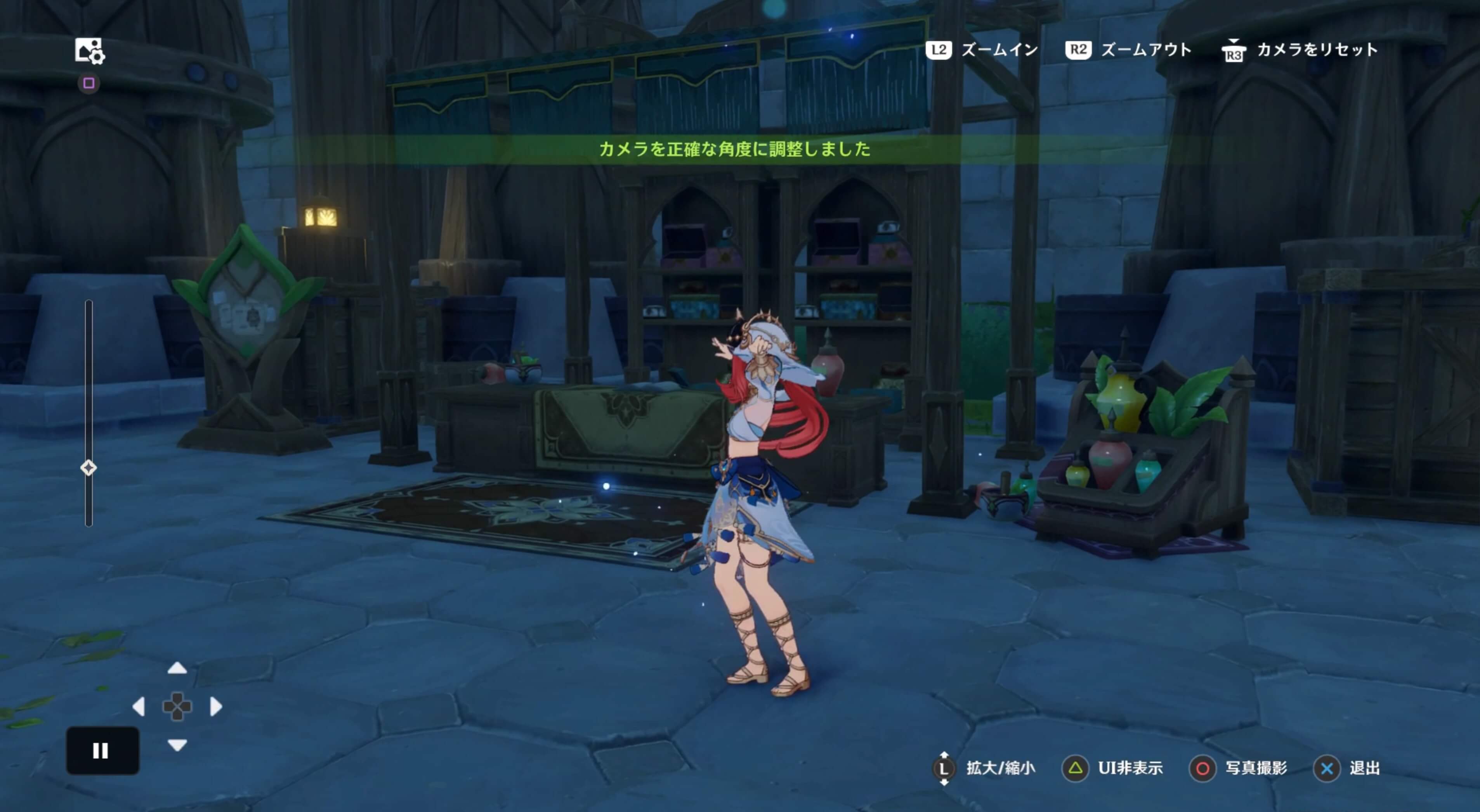 屋台の写真を撮る