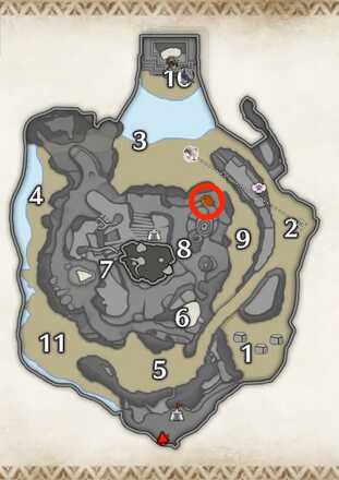 ボムガスガエルの密林