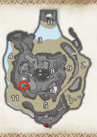 泥玉コロガシの密林