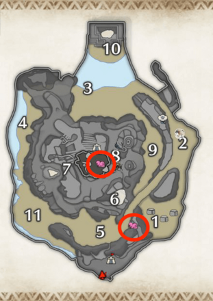 カモシワラシの密林