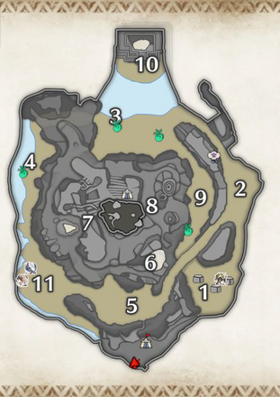回復ミツムシの密林の上層