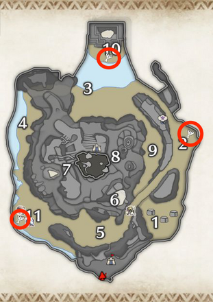 イッタンモンシロの密林の上層