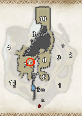 イッタンモンシロの密林の下層