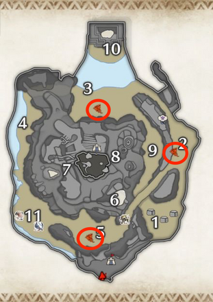 ホムラチョウの密林の上層
