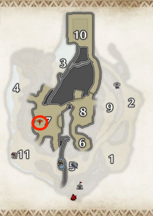 アミキリアカネの密林の下層