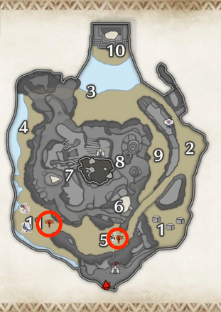 アミキリアカネの密林の上層