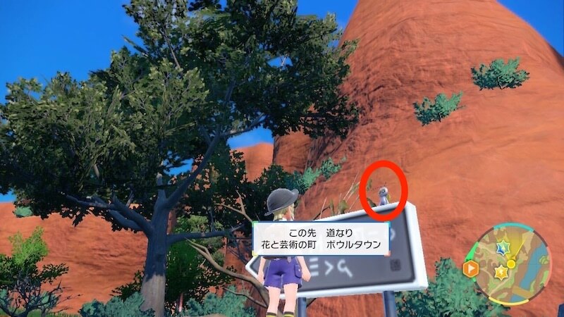 主に看板や岩の上にいる