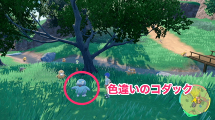 色違いのコダックのシンボルエンカウント