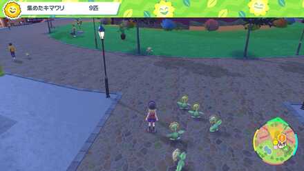 キマワリの場所10