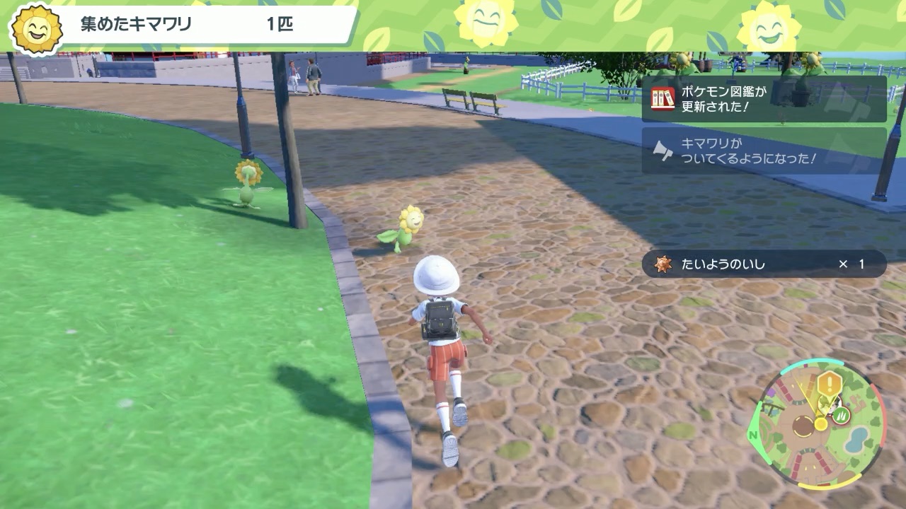 セルクルジムのテスト