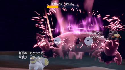 とくせい「いかりのこうら」に注意