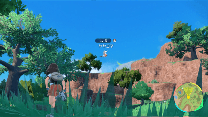 空を飛んでいるヤヤコマ