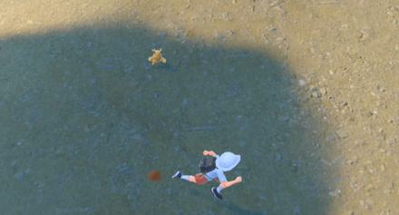 パーモットには連れ歩き状態1000歩で進化