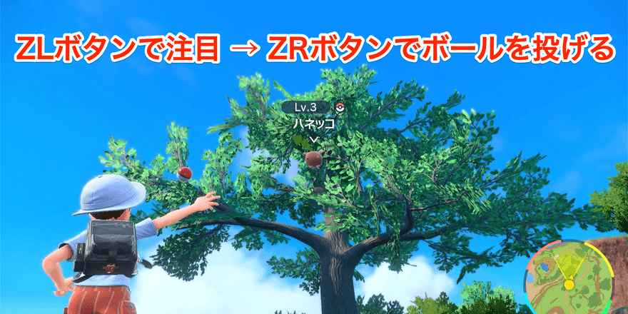 ZLボタンで注目し、ZRボタンでボールを投げる
