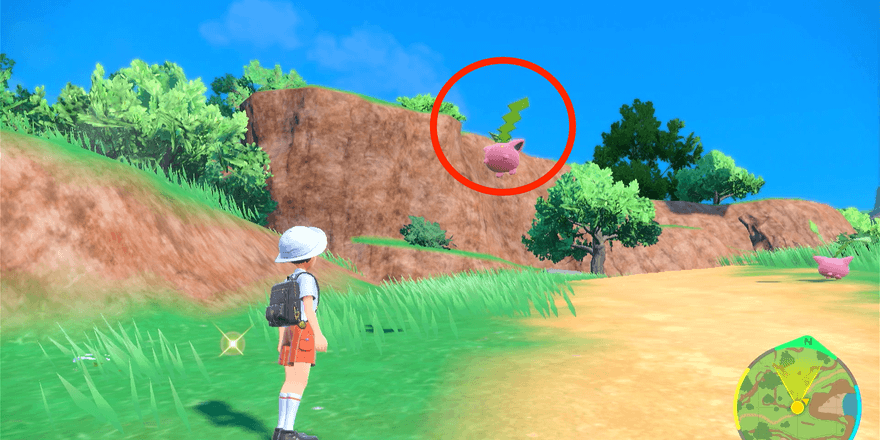 空を飛ぶポケモン