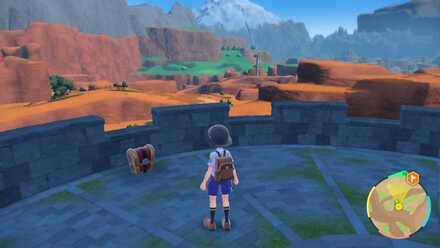 箱型のコレクレー