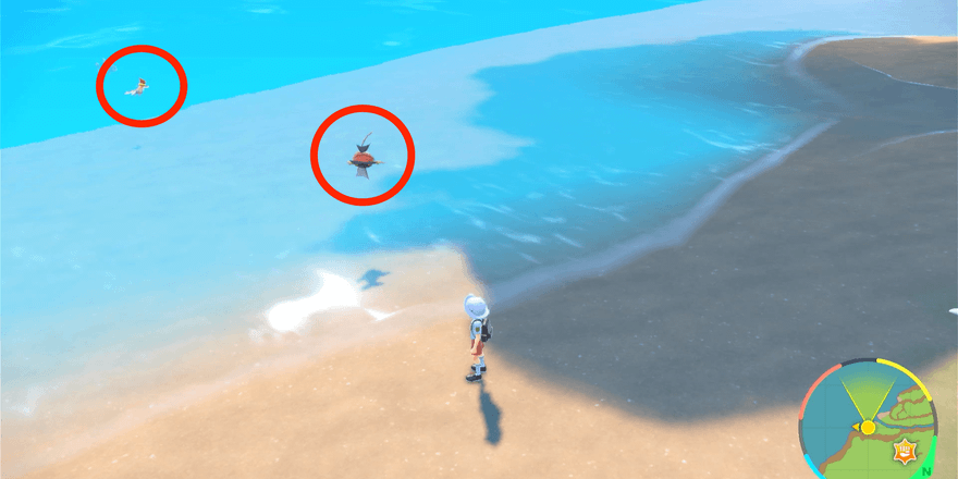 川や海にいるポケモン