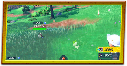 旅パのおすすめポケモン