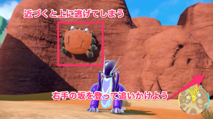 壁にくっついている