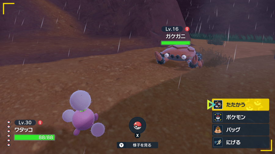 ガケガニと再戦