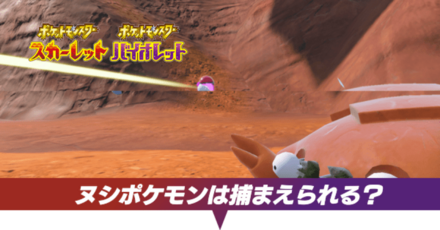 ぬしポケモンは捕まえられる?|捕獲方法