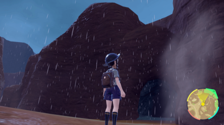 ガケガニがいた場所