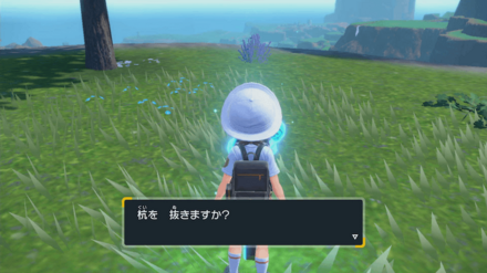 杭を集めると祠が出現