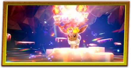 テラスタイプの厳選