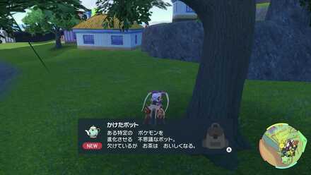 マリナードタウンの南東