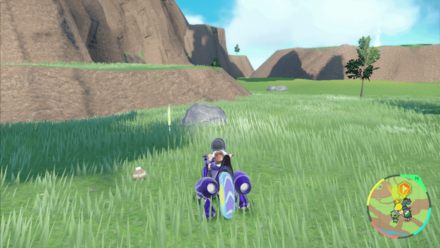 どろかけの入手場所画像