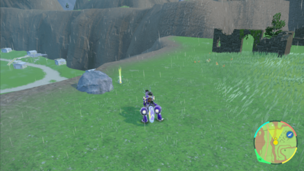 たたりめの入手場所画像