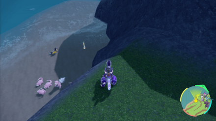 きしかいせいの入手場所画像