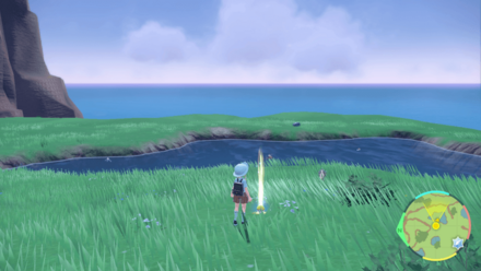 あまごいの入手場所画像