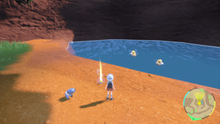 めいそうの入手場所画像