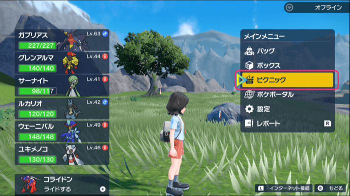 ピクニックのやり方