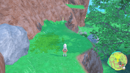 くさむすびの入手場所画像