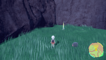 ねむるの入手場所画像