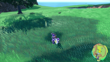 ナイトヘッドの入手場所画像