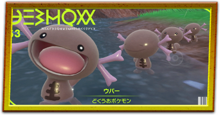 パルデアの姿