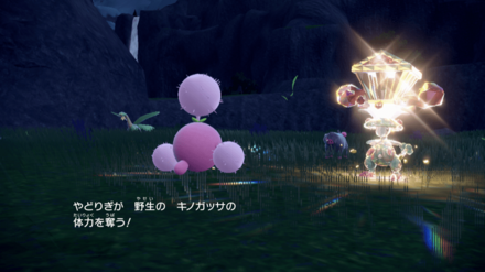 やどりぎのたね