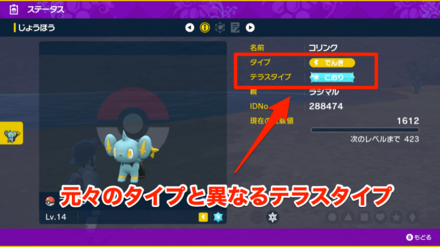 異なるテラスタイプ