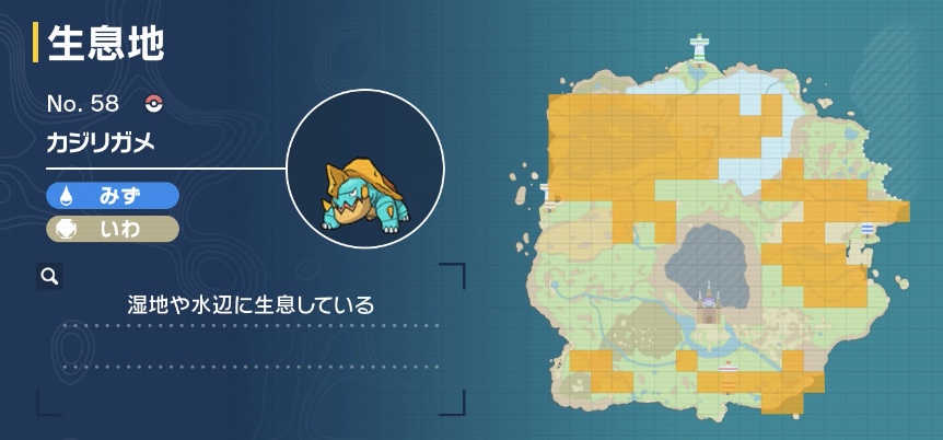 カジリガメ画像