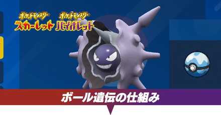 ボール遺伝の仕組み