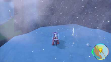 はどうだんの入手場所画像