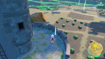 エレキボールの入手場所画像