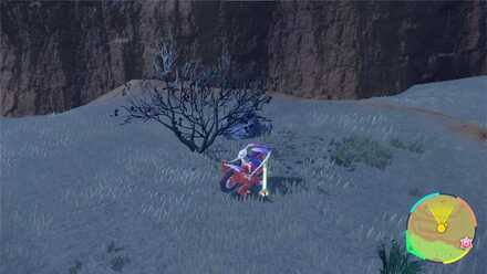 ビルドアップの入手場所画像