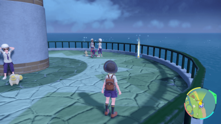 エナジーボールの入手場所画像